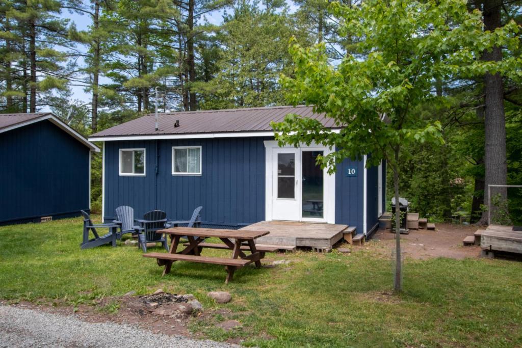 The Trace At Oak Lake Havelock Стая снимка